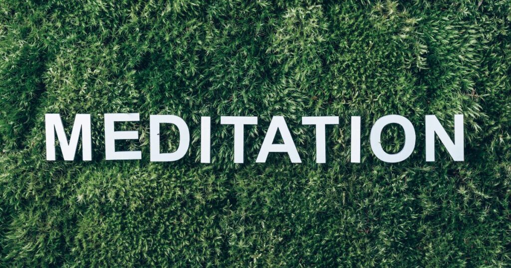 White letters spell MEDITATION on a dense green leafy wall.