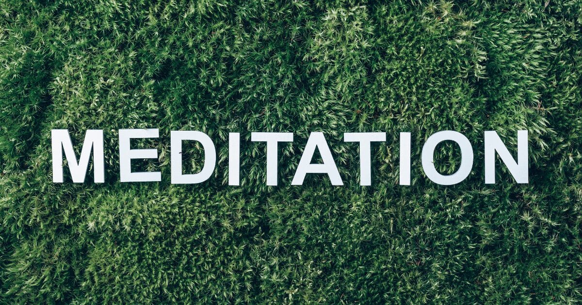White letters spell MEDITATION on a dense green leafy wall.