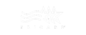Group-1437254323-1-1png - Treat Mental Health Tennessee TIGART logo featuring a star with wavy lines above the brand name.